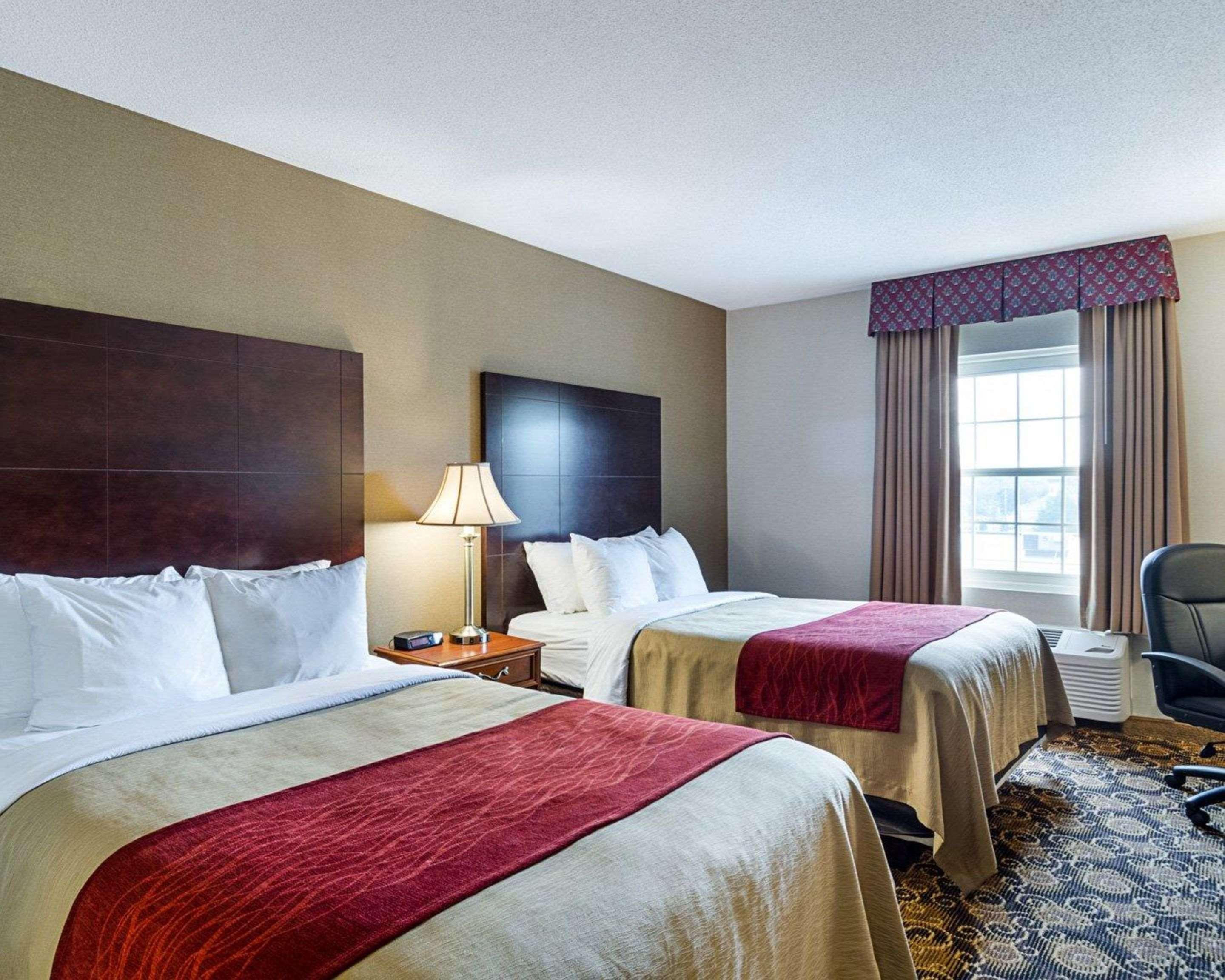 Comfort Inn Rockland - Boston Bagian luar foto