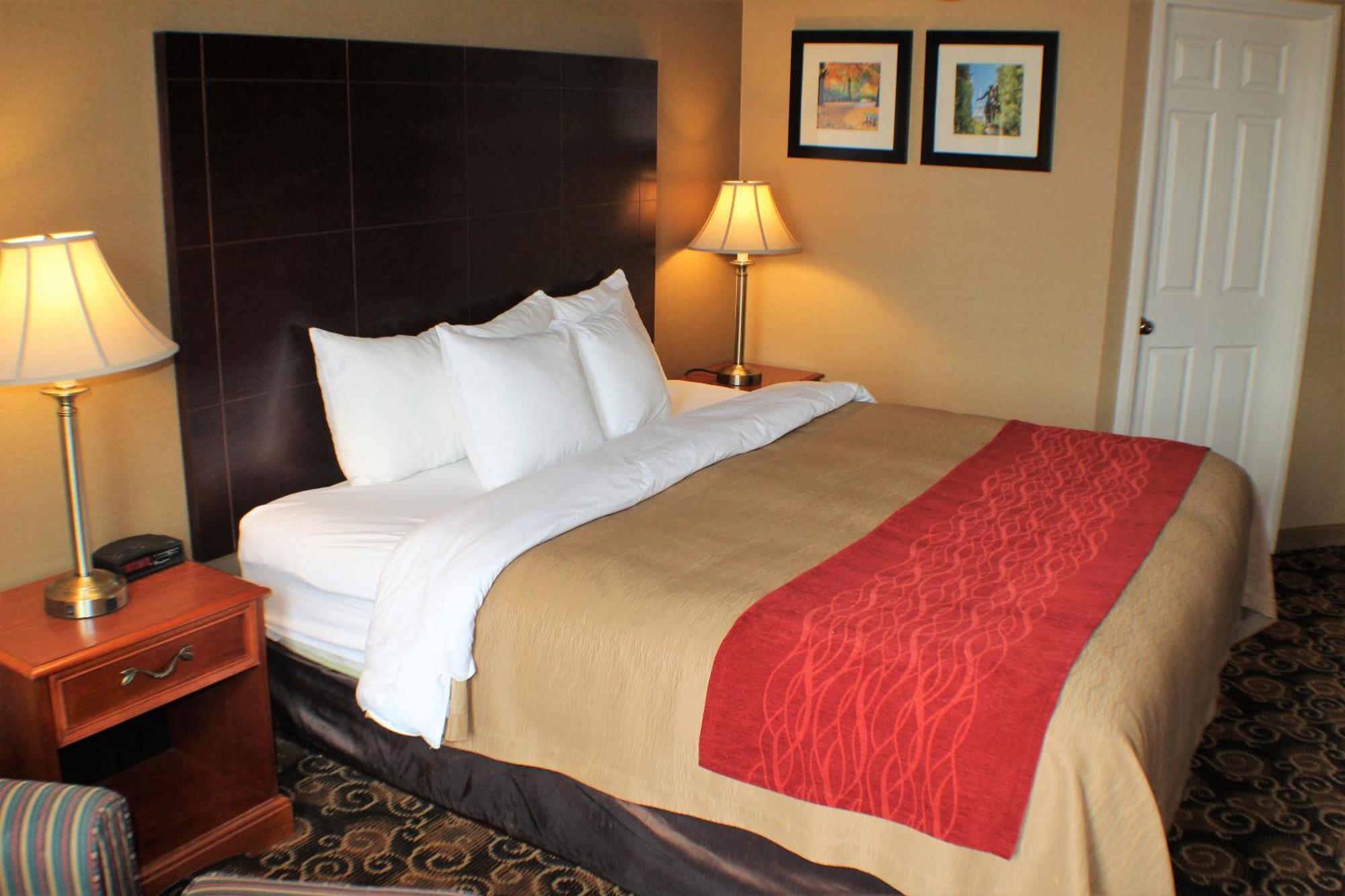 Comfort Inn Rockland - Boston Bagian luar foto